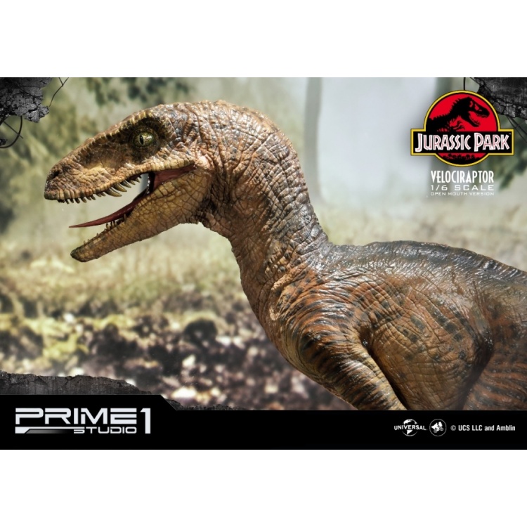 Jurassic Park: Velociraptor Open Mouth Version 1:6 Scale Statue | Prime ...