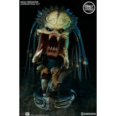 Wolf Predator Bust 1/2 Exclusive | Sideshow Collectibles