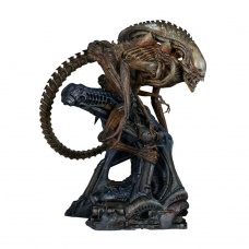 Alien Maquette Alien Warrior - Mythos | Sideshow Collectibles