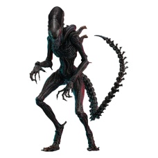 Alien: Romulus Movie Masterpiece Action Figure 1/6 Scorched Xenomorph 44 cm - Hot Toys (NL)