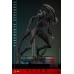 Alien: Romulus Movie Masterpiece Action Figure 1/6 Scorched Xenomorph 44 cm Hot Toys Product