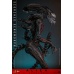 Alien: Romulus Movie Masterpiece Action Figure 1/6 Scorched Xenomorph 44 cm Hot Toys Product