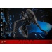 Alien: Romulus Movie Masterpiece Action Figure 1/6 Scorched Xenomorph 44 cm Hot Toys Product