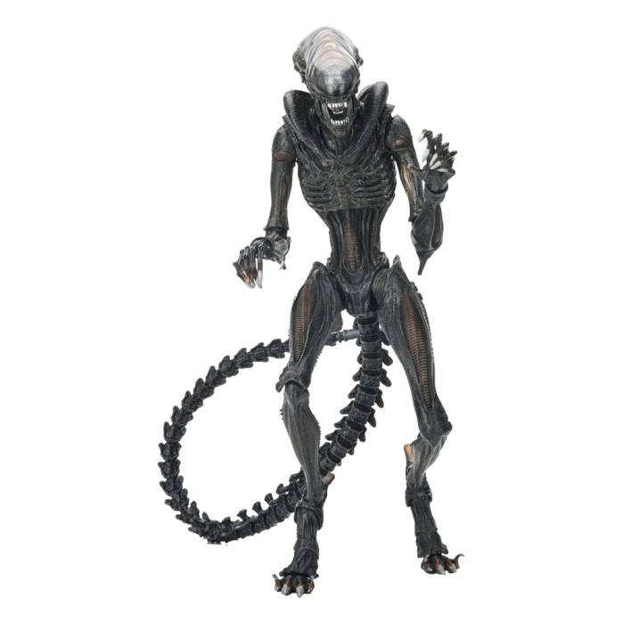 Alien: Romulus Ultimate Action Figure Scorched Xenomorph 18 cm NECA Product