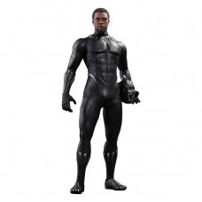 Black Panther Movie Masterpiece 1/6 Action Figure | Hot Toys