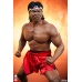 Bolo Yeung: Kung Fu Tribute 1:3 Scale Statue Sideshow Collectibles Product