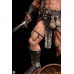 Conan the Barbarian Statue 1/4 Conan 58 cm Premium Collectibles Studio Product