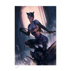 DC Comics: Catwoman Variant Unframed Art Print | Sideshow Collectibles