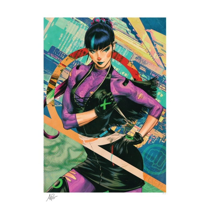 DC Comics: Punchline Unframed Art Print Sideshow Collectibles Product