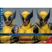 Deadpool  and Wolverine Movie Masterpiece Action Figure 1/6 Wolverine 31 cm Hot Toys Product