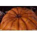 Halloween Statue 1/1 Jack-O-Lantern 31 cm Premium Collectibles Studio Product