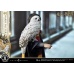 Harry Potter: Harry Potter with Hedwig 1:6 Scale Statue Prime 1 Studio Product