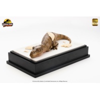 Jurassic Park: Hatching T-Rex Statue Toynami Product