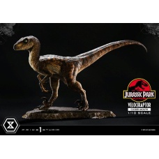 Jurassic Park Prime Collectibles Statue 1/10 Velociraptor Closed Mouth 19 cm | Prime 1 Studio