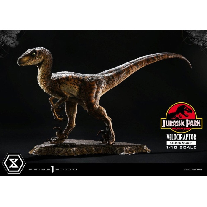 Jurassic Park Prime Collectibles Statue 1/10 Velociraptor Closed Mouth 19 cm Prime 1 Studio Product