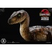 Jurassic Park Prime Collectibles Statue 1/10 Velociraptor Closed Mouth 19 cm Prime 1 Studio Product