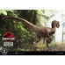 Jurassic Park: Velociraptor Open Mouth Edition 1:10 Scale Statue Prime 1 Studio Product