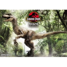 Jurassic Park: Velociraptor Open Mouth Version 1:6 Scale Statue - Prime 1 Studio (NL)