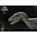 Jurassic World: Prime Collectible Figure Series - Delta 1:10 Scale Statue Prime 1 Studio Product