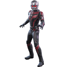 Marvel: The Ant-Man 1:6 Scale Figure | Hot Toys