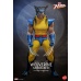 Marvel X-Men Action Figure 1/6 Wolverine (Unmasked) 28 cm honostudio Product