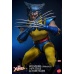 Marvel X-Men Action Figure 1/6 Wolverine (Unmasked) 28 cm honostudio Product