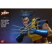 Marvel X-Men Action Figure 1/6 Wolverine (Unmasked) 28 cm honostudio Product