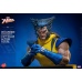 Marvel X-Men Action Figure 1/6 Wolverine (Unmasked) 28 cm honostudio Product