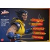 Marvel X-Men Action Figure 1/6 Wolverine (Unmasked) 28 cm honostudio Product