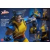 Marvel X-Men Action Figure 1/6 Wolverine (Unmasked) 28 cm honostudio Product