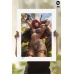 Red Sonja Unframed Art Print Sideshow Collectibles Product