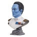 Star Wars: Ahsoka Legends in 3D Bust 1/2 Grand Admiral Thrawn 25 cm Gentle Giant Studios Product