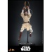 Star Wars: Episode II - Attack of the Clones Action Figure 1/6 Obi-Wan Kenobi 31 cm Hot Toys Product