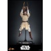 Star Wars: Episode II - Attack of the Clones Action Figure 1/6 Obi-Wan Kenobi 31 cm Hot Toys Product