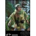 Star Wars: Return of the Jedi - Princess Leia 1:6 Scale Figure Hot Toys Product