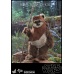 Star Wars: Return of the Jedi - Princess Leia and Wicket 1:6 Scale Set Hot Toys Product