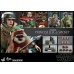 Star Wars: Return of the Jedi - Princess Leia and Wicket 1:6 Scale Set Hot Toys Product