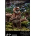 Star Wars: Return of the Jedi - Princess Leia and Wicket 1:6 Scale Set Hot Toys Product