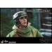 Star Wars: Return of the Jedi - Princess Leia and Wicket 1:6 Scale Set Hot Toys Product