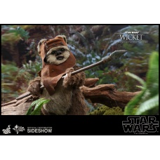 Star Wars: Return of the Jedi - Wicket 1:6 Scale Figure | Hot Toys