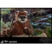 Star Wars: Return of the Jedi - Wicket 1:6 Scale Figure Hot Toys Product