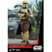 Star Wars: Rogue One - Shoretrooper Squad Leader 1:6 Scale Figure Hot Toys Product