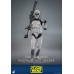 Star Wars The Clone Wars Action Figure 1/6 104th Battalion Wolfpack Clone Trooper 30 cm Hot Toys Product