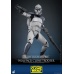 Star Wars The Clone Wars Action Figure 1/6 104th Battalion Wolfpack Clone Trooper 30 cm Hot Toys Product