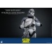 Star Wars The Clone Wars Action Figure 1/6 104th Battalion Wolfpack Clone Trooper 30 cm Hot Toys Product