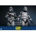 Star Wars The Clone Wars Action Figure 1/6 104th Battalion Wolfpack Clone Trooper 30 cm Hot Toys Product