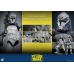 Star Wars The Clone Wars Action Figure 1/6 104th Battalion Wolfpack Clone Trooper 30 cm Hot Toys Product