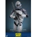 Star Wars The Clone Wars Action Figure 1/6 104th Battalion Wolfpack Clone Trooper Deluxe Version 30 cm Hot Toys Product