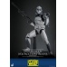 Star Wars The Clone Wars Action Figure 1/6 104th Battalion Wolfpack Clone Trooper Deluxe Version 30 cm Hot Toys Product