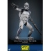 Star Wars The Clone Wars Action Figure 1/6 104th Battalion Wolfpack Clone Trooper Deluxe Version 30 cm Hot Toys Product